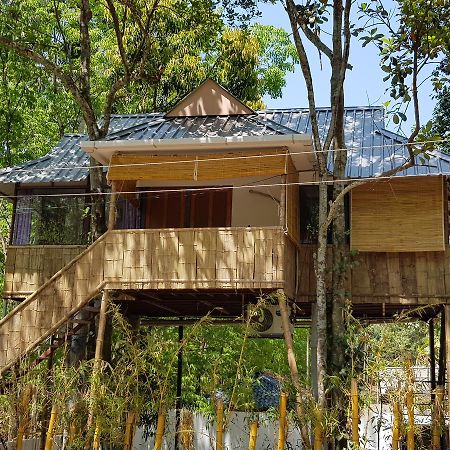Ponmudi Valley Resorts エクステリア 写真