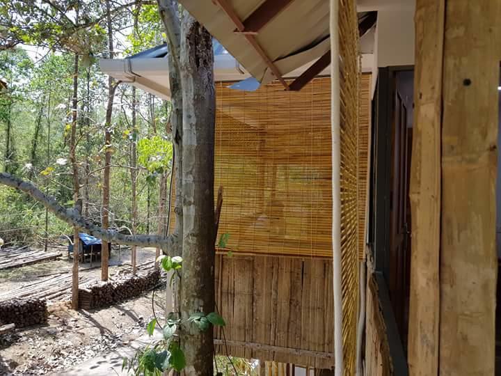 Ponmudi Valley Resorts エクステリア 写真