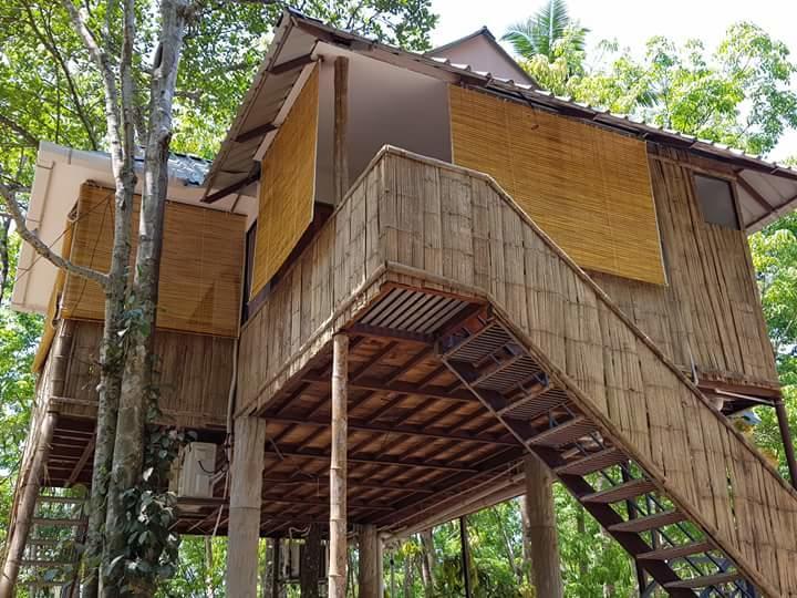 Ponmudi Valley Resorts エクステリア 写真