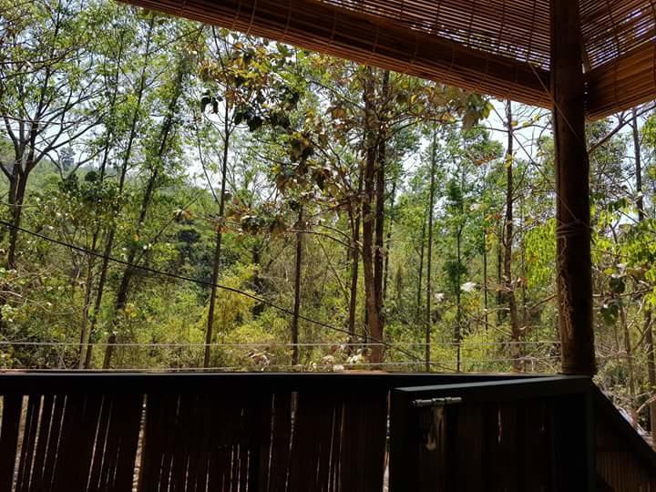 Ponmudi Valley Resorts エクステリア 写真