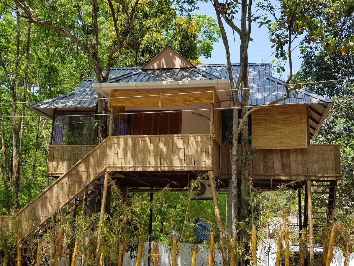 Ponmudi Valley Resorts エクステリア 写真